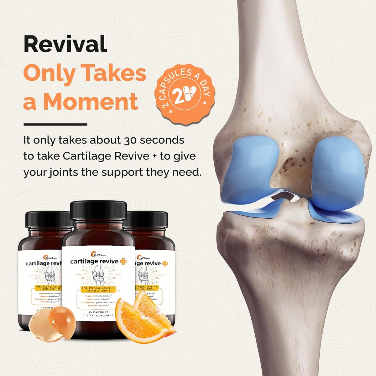 UpWellness Cartilage Revive + Joint Support Supplement for Men and Women with Type II Collagen for Joints - D-Glucosamine Sulfate, MSM, Vitamin D3, Vitamin C and More - 60 Capsules